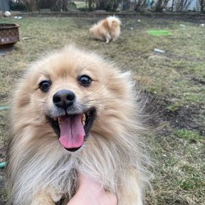 Meet your Posher, Jenifer